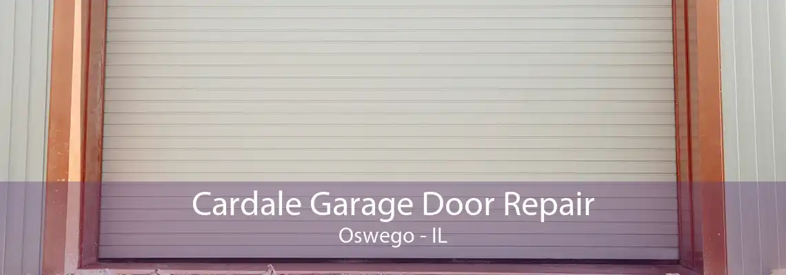 Cardale Garage Door Repair Oswego - IL