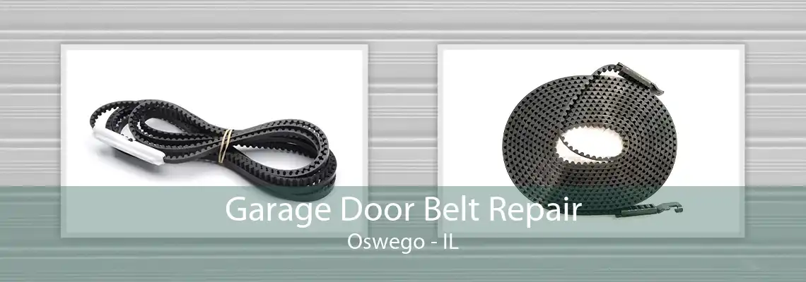 Garage Door Belt Repair Oswego - IL