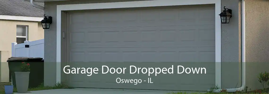 Garage Door Dropped Down Oswego - IL