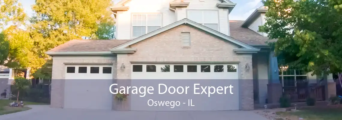 Garage Door Expert Oswego - IL