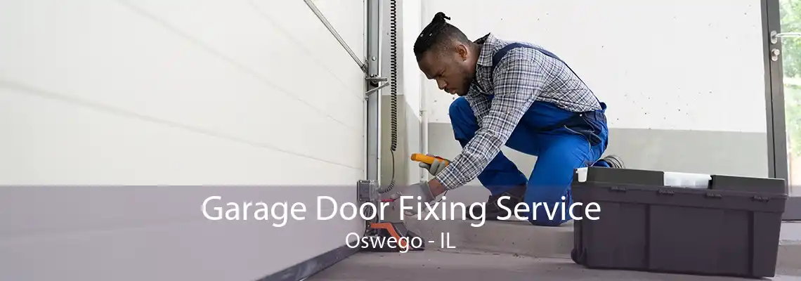 Garage Door Fixing Service Oswego - IL