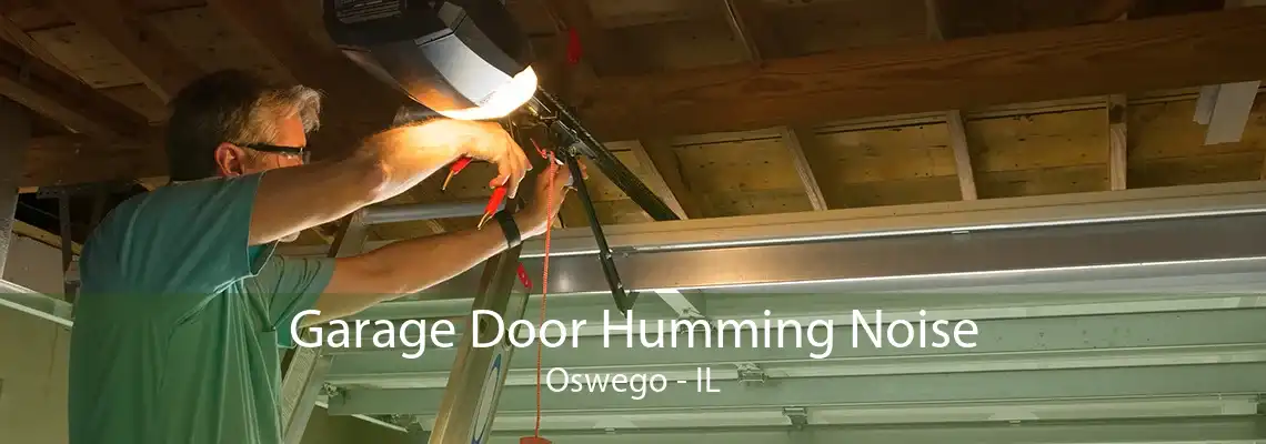 Garage Door Humming Noise Oswego - IL