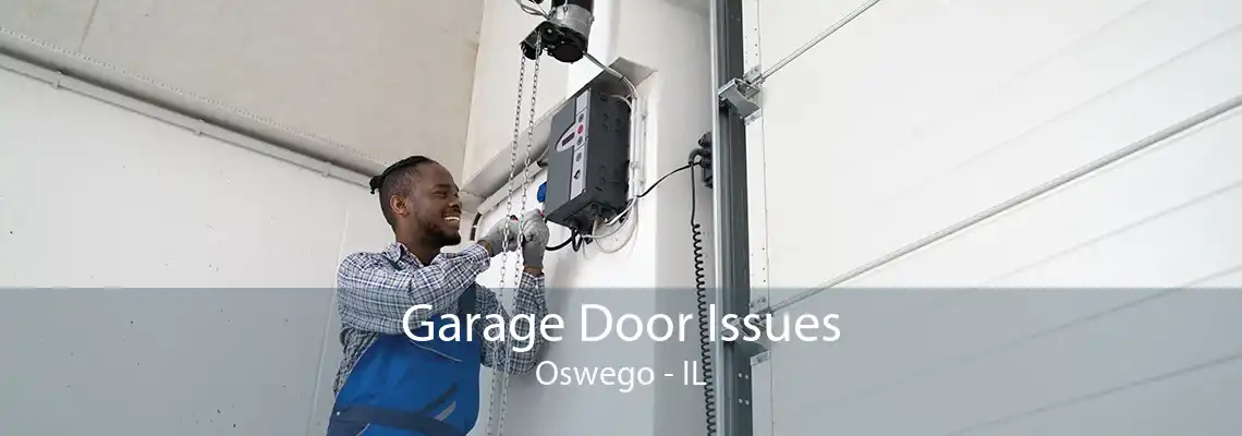 Garage Door Issues Oswego - IL