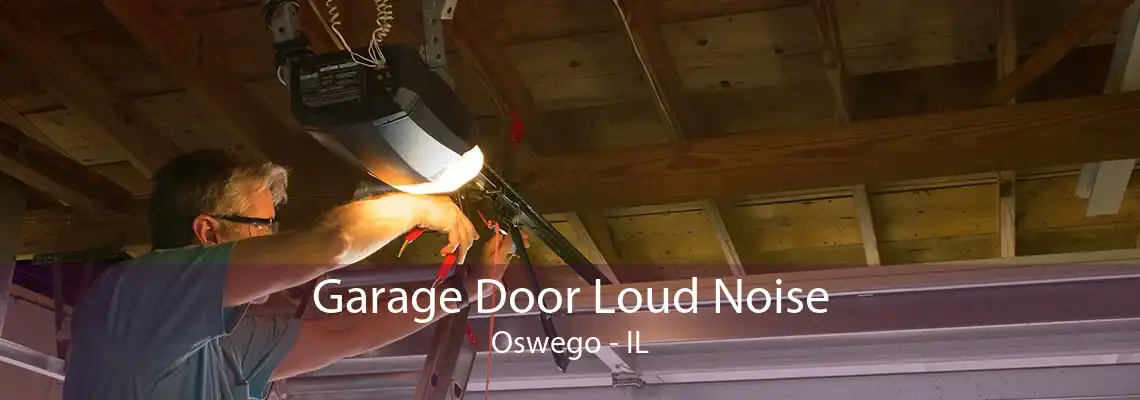 Garage Door Loud Noise Oswego - IL