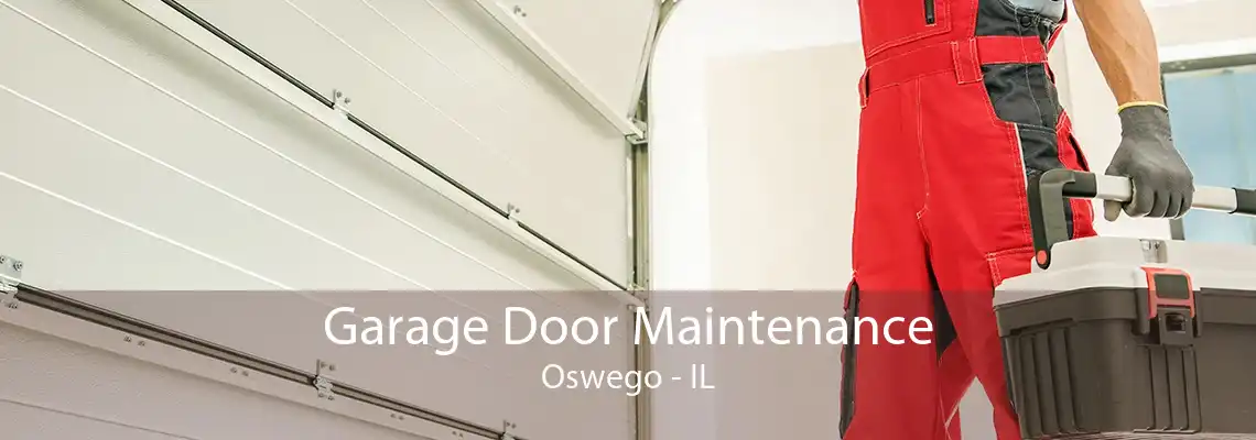 Garage Door Maintenance Oswego - IL