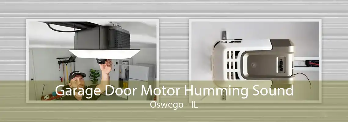 Garage Door Motor Humming Sound Oswego - IL