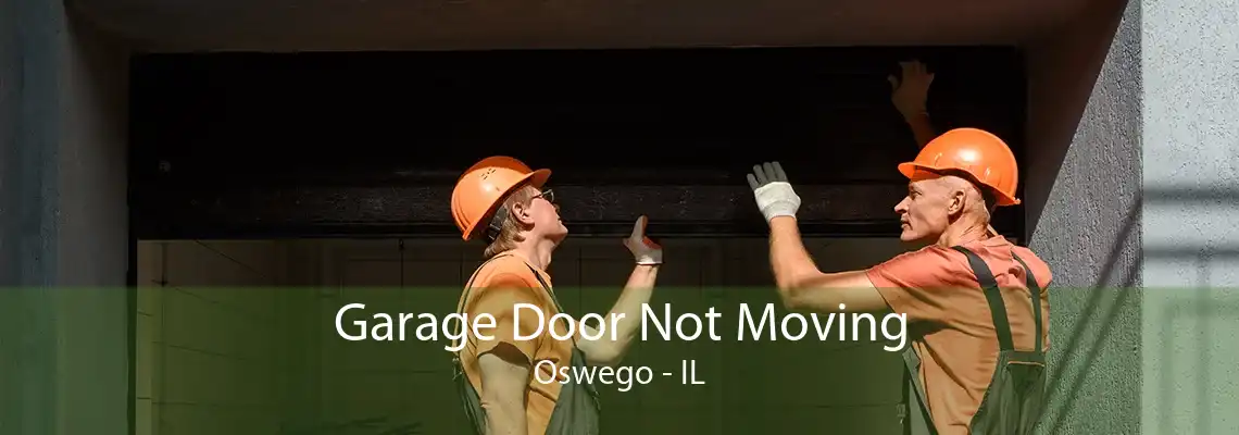 Garage Door Not Moving Oswego - IL