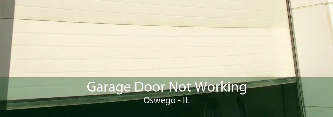 Garage Door Not Working Oswego - IL