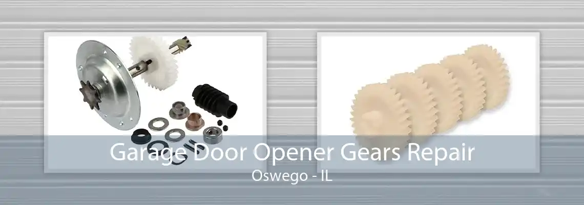 Garage Door Opener Gears Repair Oswego - IL