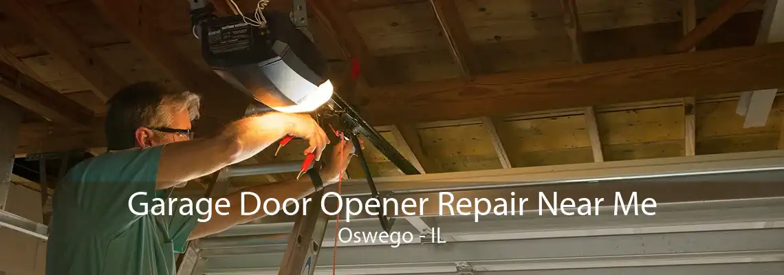 Garage Door Opener Repair Near Me Oswego - IL