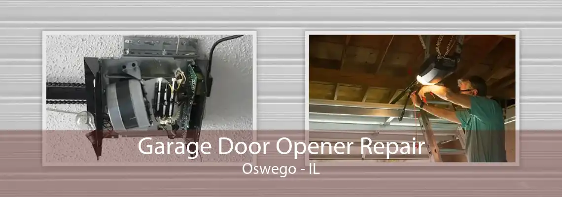 Garage Door Opener Repair Oswego - IL