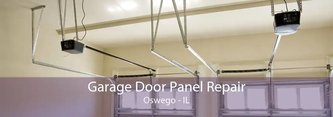 Garage Door Panel Repair Oswego - IL