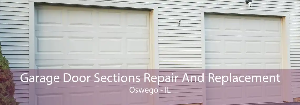 Garage Door Sections Repair And Replacement Oswego - IL