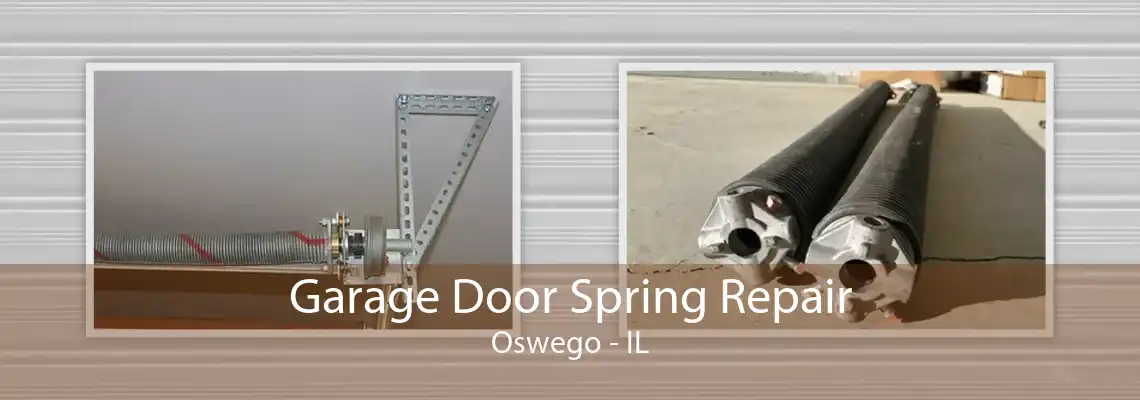 Garage Door Spring Repair Oswego - IL