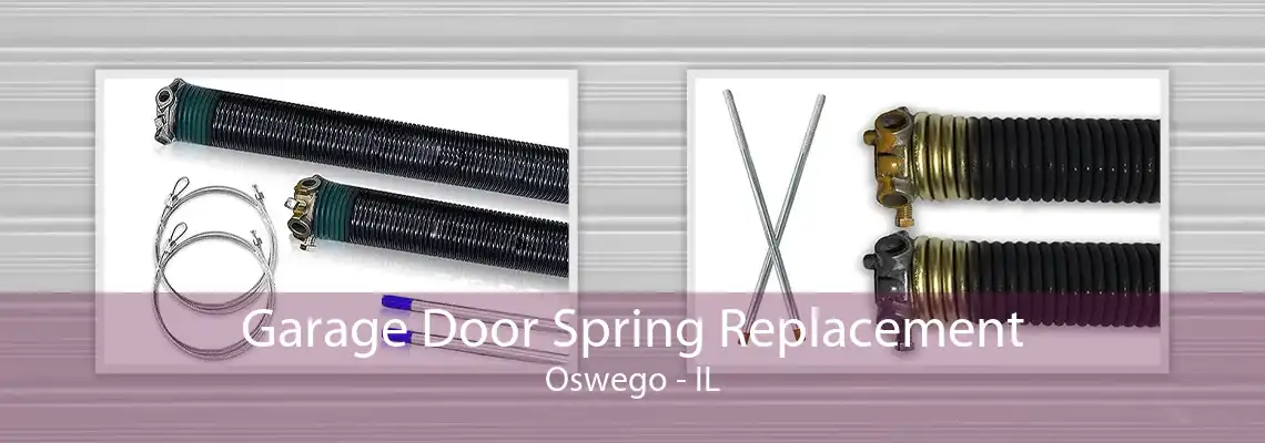 Garage Door Spring Replacement Oswego - IL