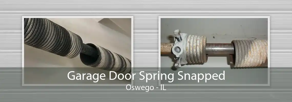 Garage Door Spring Snapped Oswego - IL