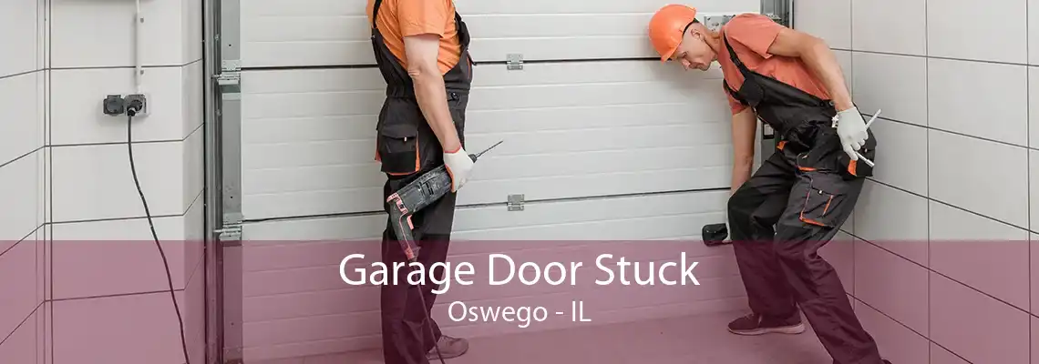 Garage Door Stuck Oswego - IL