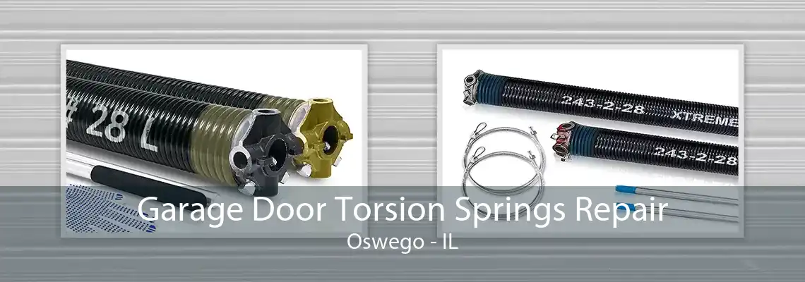 Garage Door Torsion Springs Repair Oswego - IL