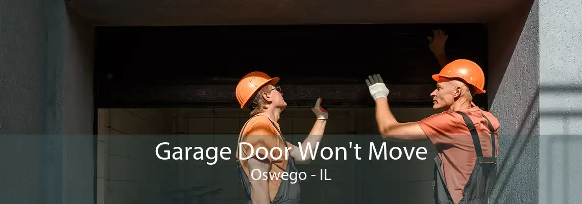 Garage Door Won't Move Oswego - IL