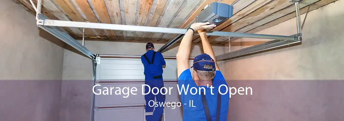 Garage Door Won't Open Oswego - IL