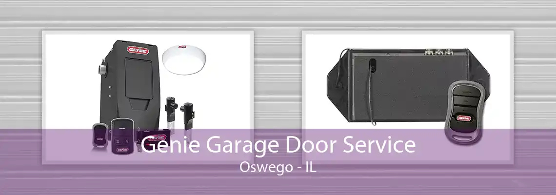 Genie Garage Door Service Oswego - IL