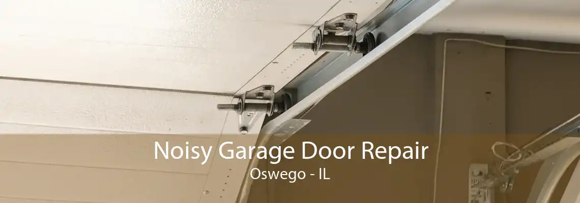 Noisy Garage Door Repair Oswego - IL