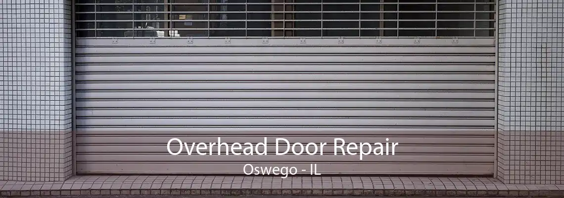 Overhead Door Repair Oswego - IL