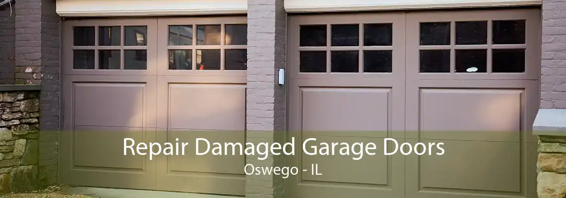 Repair Damaged Garage Doors Oswego - IL